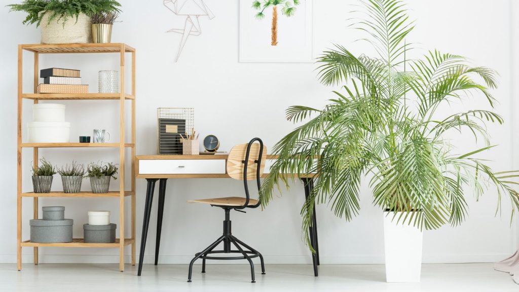 Ten Ways to Brighten Your Work Space | Businessmaker Academy & HR Club Ph